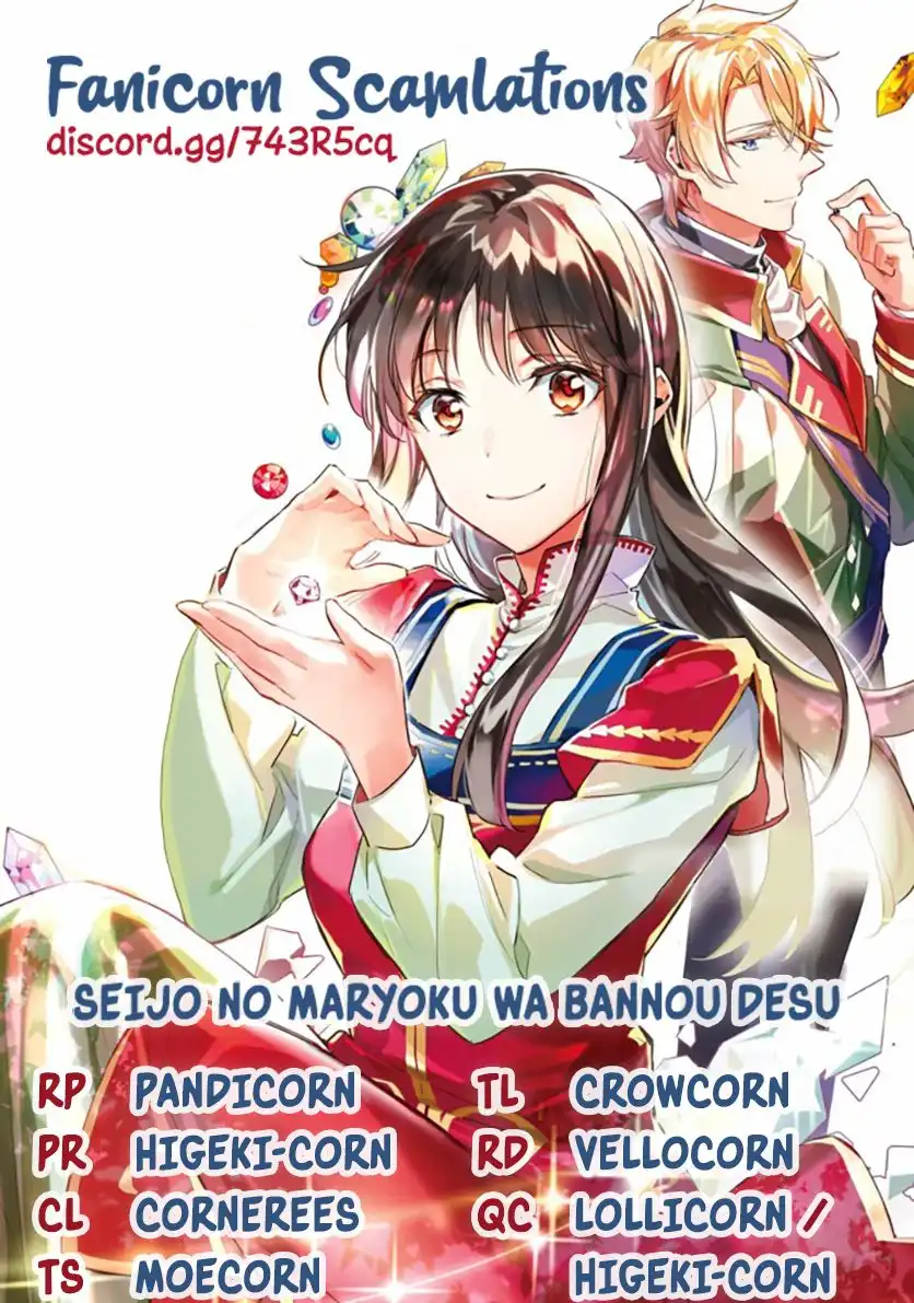 Seijo no Maryoku wa Bannou desu Chapter 21.3 8